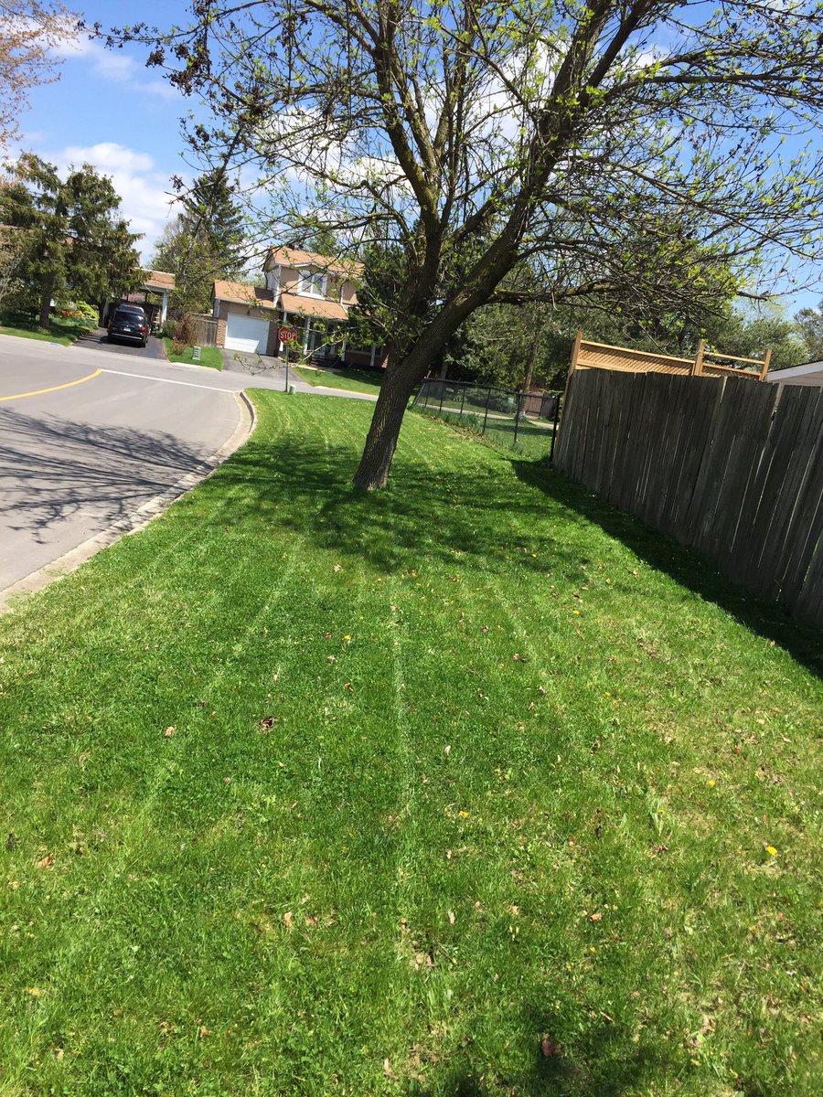 CClearIntention's tweet image. Who doesn't like a fresh mowed lawn #landscaping #HomeImprovements 🏡