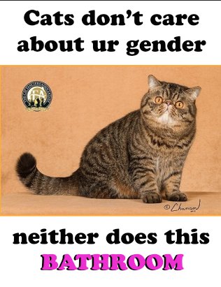 grease_bat's tweet image. I'm making gender-inclusive bathroom signs and I wonder if this is what they were expecting. #autostraddlecamp