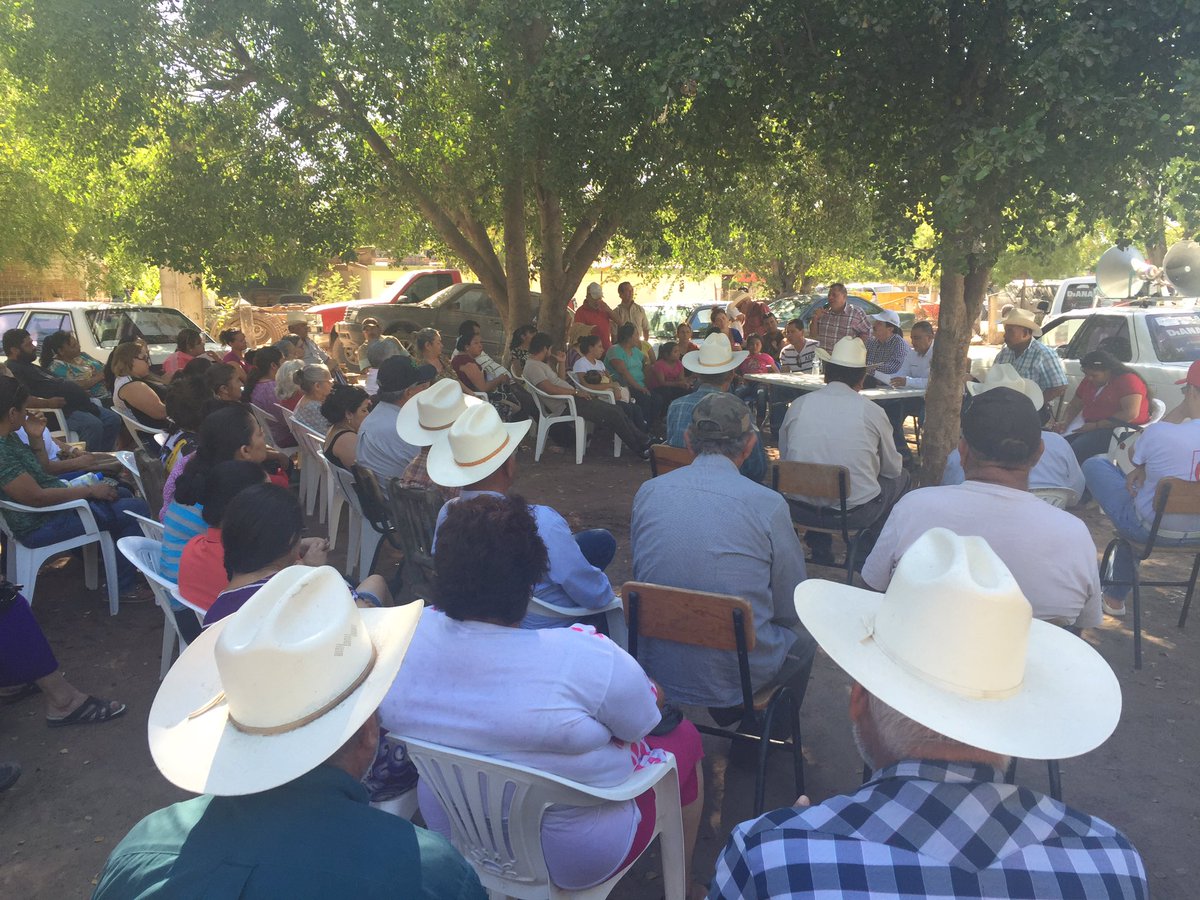 Revizando las estructuras de nuestro partido en las Brisas, Guasave... <a href="/RosaElenaMillan/">Rosa Elena Millán</a>