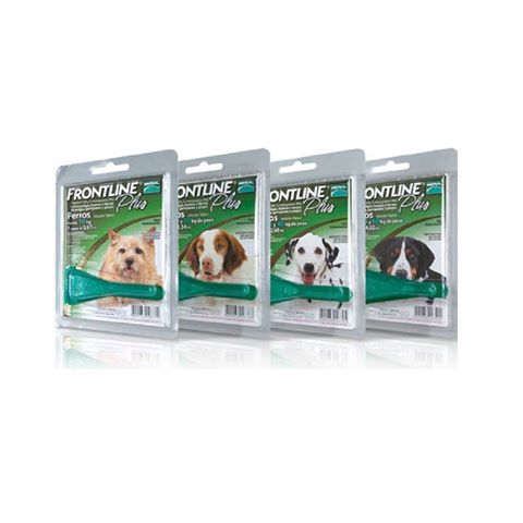 MascotaPro's tweet image. Familia libre de pulgas y garrapatas con #FrontlinePlus. ¿Qué esperas para probarla?