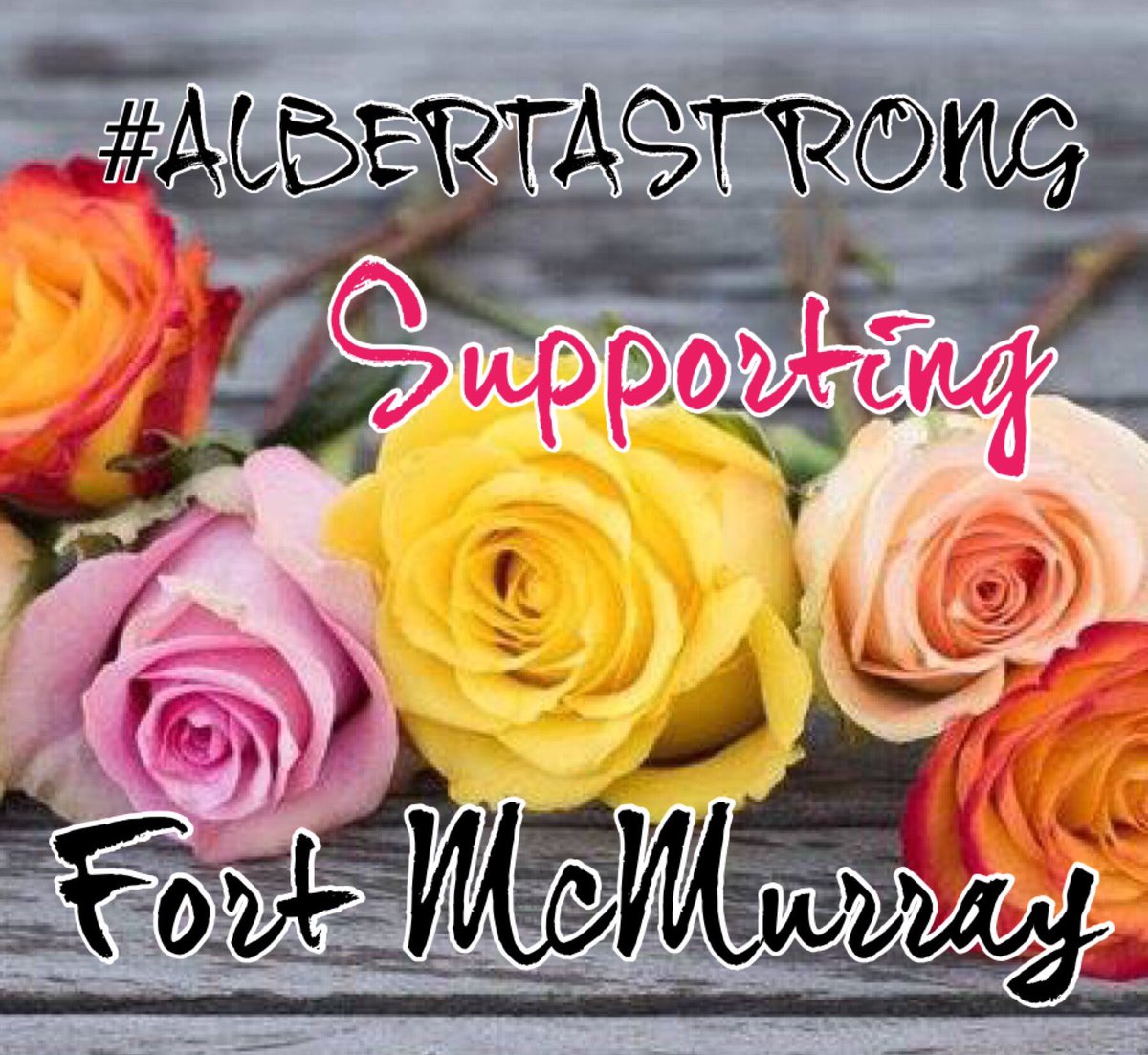 MarketShopLocal's tweet photo. @cgynightmarket June 3 Central Memorial Park 4pm-10pm $5 a rose towards #FortMcMurray #FortMacFire #RedCross https://t.co/BsvEeiPHBc