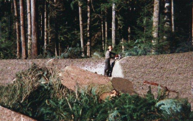 SibolaMtFalling's tweet photo. #TBT Old Pic of Al in Cleagh Creek #BCFallers #WestCoastLogging https://t.co/F4rC3kBL7N