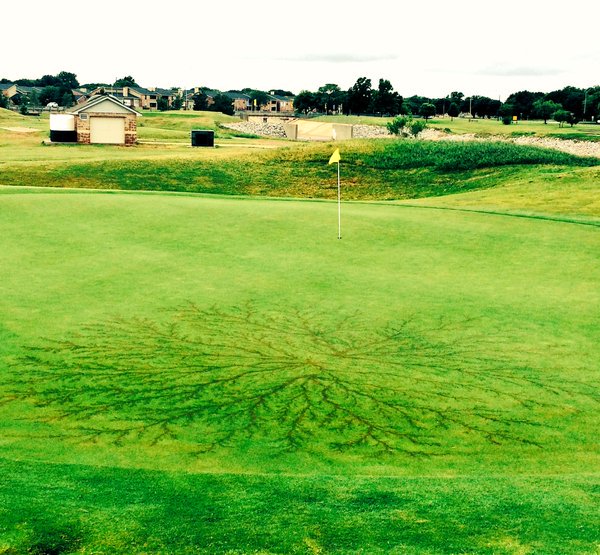 rotoworld_hoops's tweet photo. What happens when lightning strikes a golf course? This. (via @Garcia2481) https://t.co/4sxrq67kkk