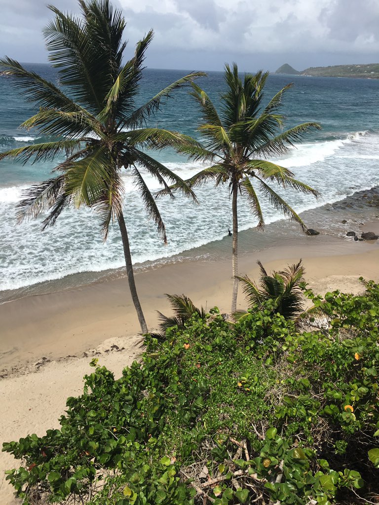 Tri Island Chocolate (@triislandchoc) on Twitter photo A very special moment shared with a few <a href="/PetiteAnse/">Petite Anse Hotel</a> yesterday! #grenadachocolatefest A very special moment shared with a few <a href="/PetiteAnse/">Petite Anse Hotel</a> yesterday! #grenadachocolatefest