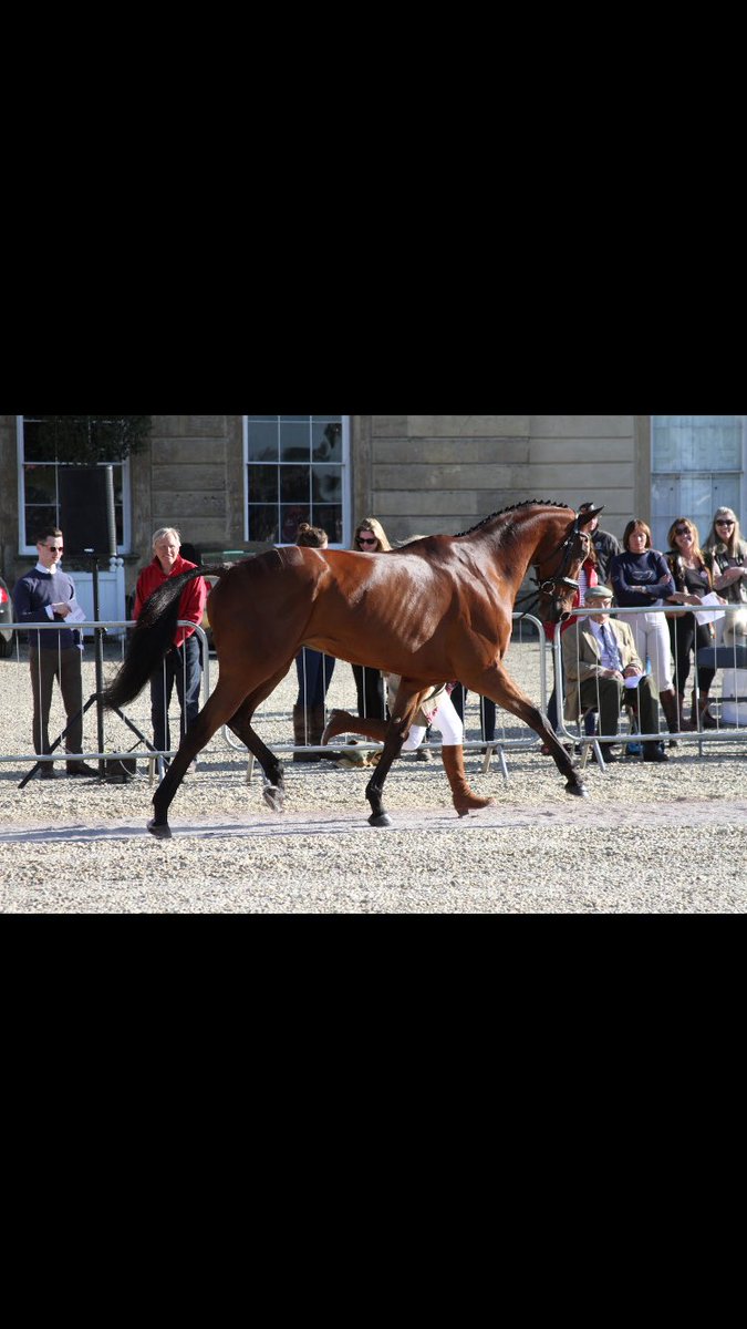 GTeventing's tweet photo. Just awesome that is all. 💗💗💗💗💗💗💗💗💗💗💗💗💗💗💗💗 #incredibleathlete https://t.co/WHk1H6Ay4S