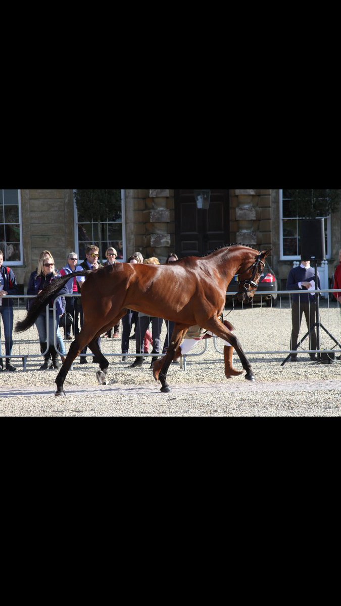 GTeventing's tweet photo. Just awesome that is all. 💗💗💗💗💗💗💗💗💗💗💗💗💗💗💗💗 #incredibleathlete https://t.co/WHk1H6Ay4S