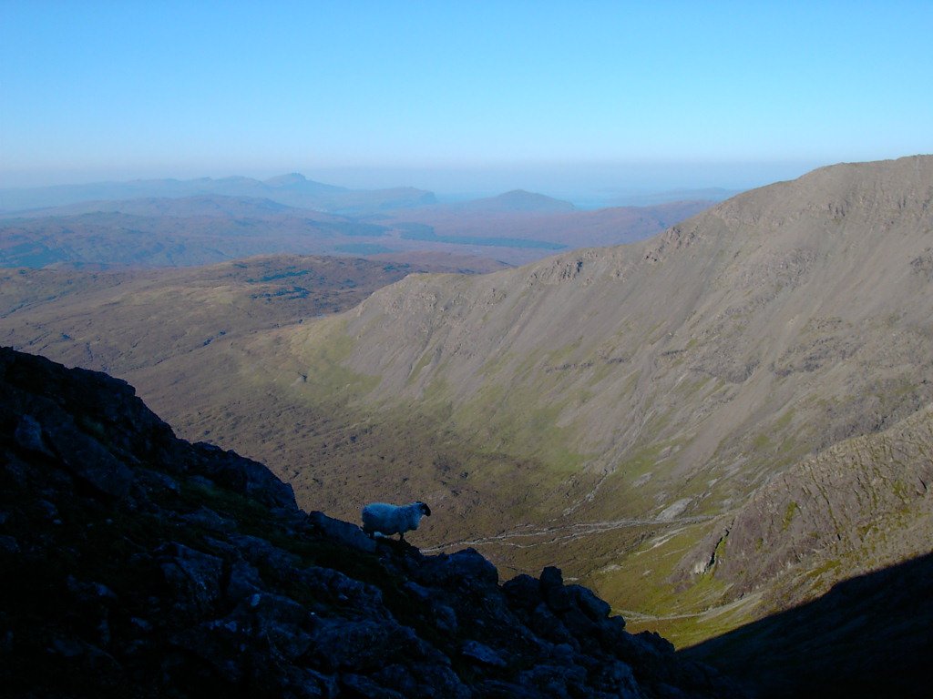 Those sheep get everywhere, even high up in the Black Cuillin !!