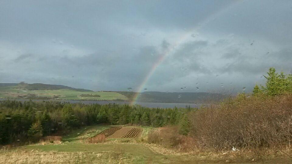 PaddyRay_NL's tweet photo. @ryansnoddon Hey Ryan shot of a rainbow from yesterday over Third Pond in the Goulds https://t.co/vat7xk28EH
