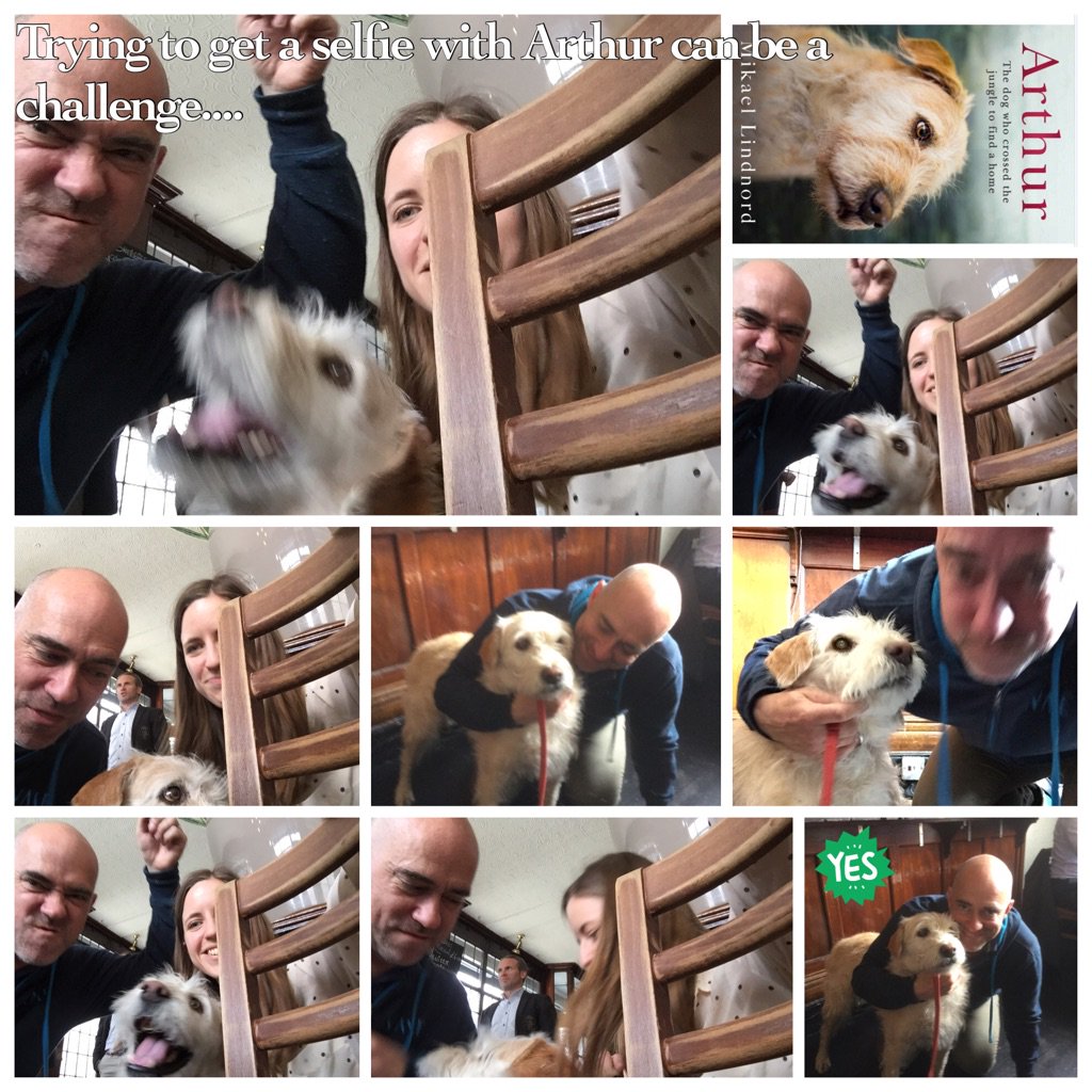 simontrewin's tweet photo. #Arthur #rescuedog was the perfect lunch companion with #katehewson today but then things got tricky.. https://t.co/RXI1I24j0J