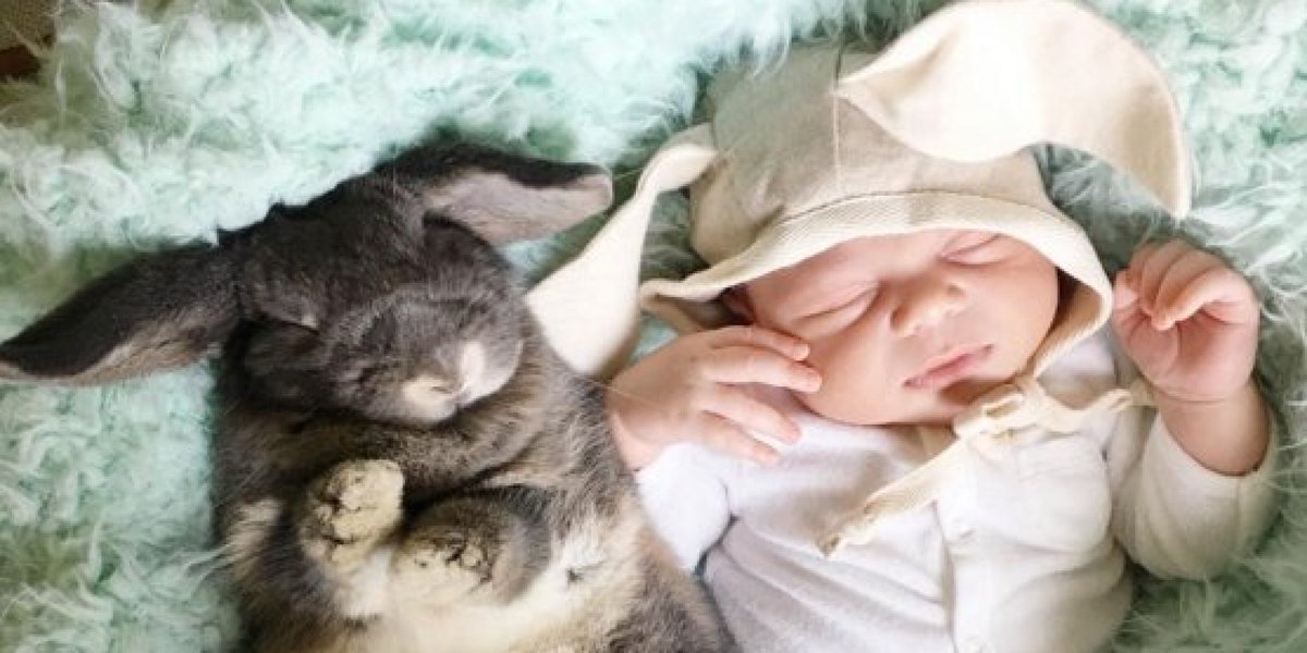 ElHuffPost's tweet image. Ohhhhhhhhhhh 😍😍
 huff.to/1U0L3Gv