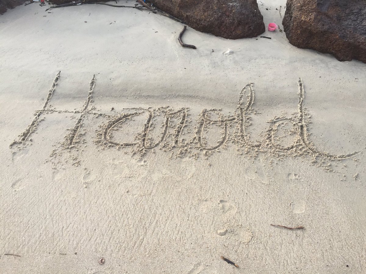 hleckat's tweet photo. #Lbv #CapSantaClara #Gabon https://t.co/YbpZnh1fxh