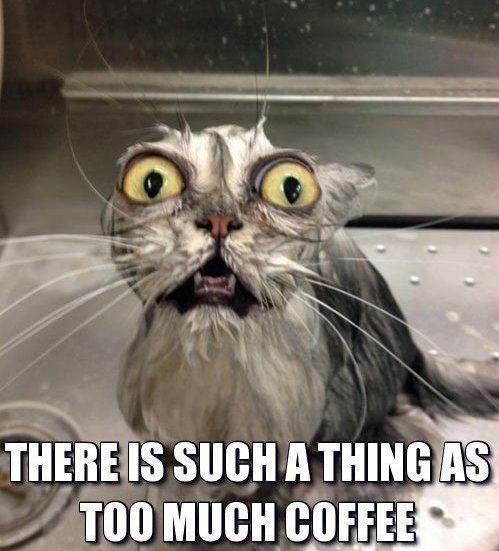 iloveozmo's tweet image. Drinking too much #caffeine? Find out using our FREE handy #HydrationTracking app goo.gl/iIcpkM