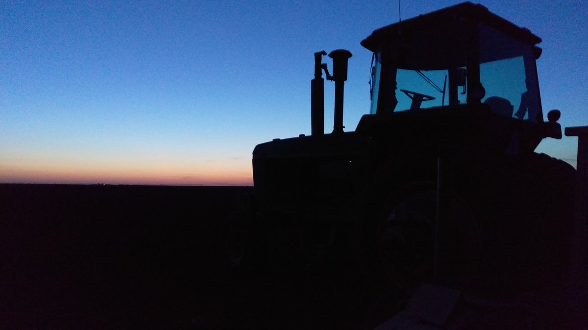 #farmlife #plant16