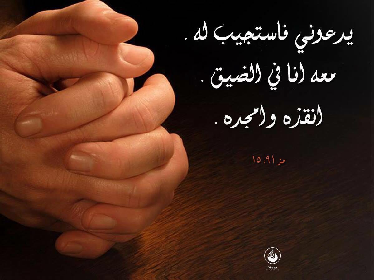 SamySamygmail1's tweet photo. https://t.co/JFWgt9suMD