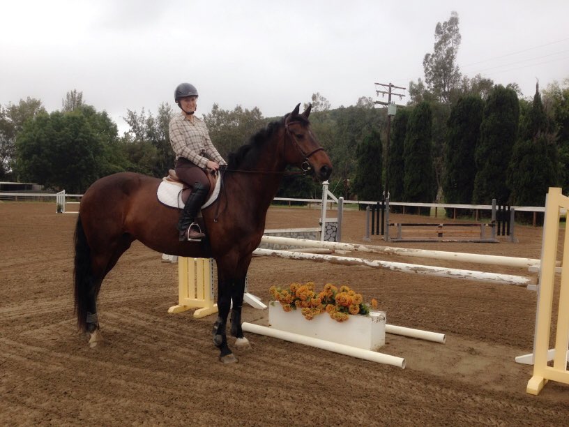 eshackell's tweet image. Look who I got to ride!!!! Hi Eva! #ridinginamerica #ihaveacowboybelt