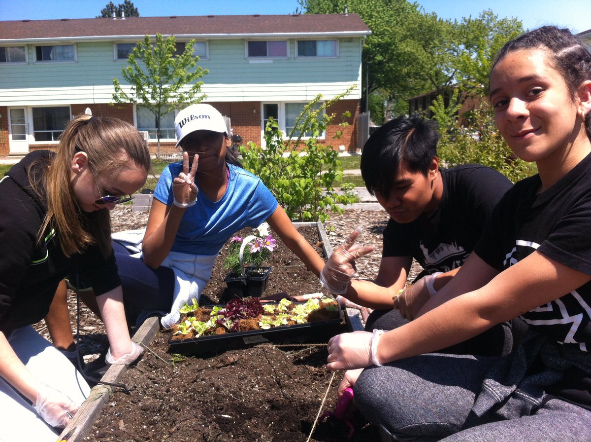 Coronation Cougars tweet media