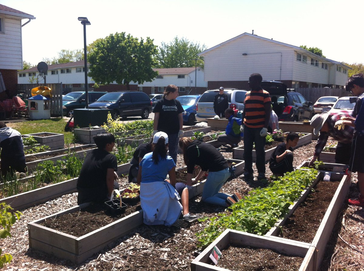 Coronation Cougars tweet media