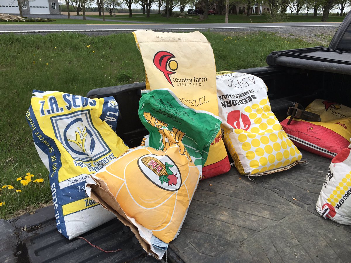Djyaiphe's tweet photo. My first non-GMO/Organic grain Corn test plot... #OGM #plant16
@Guillaume_agr #prideseeds https://t.co/F5ukAMQCyA