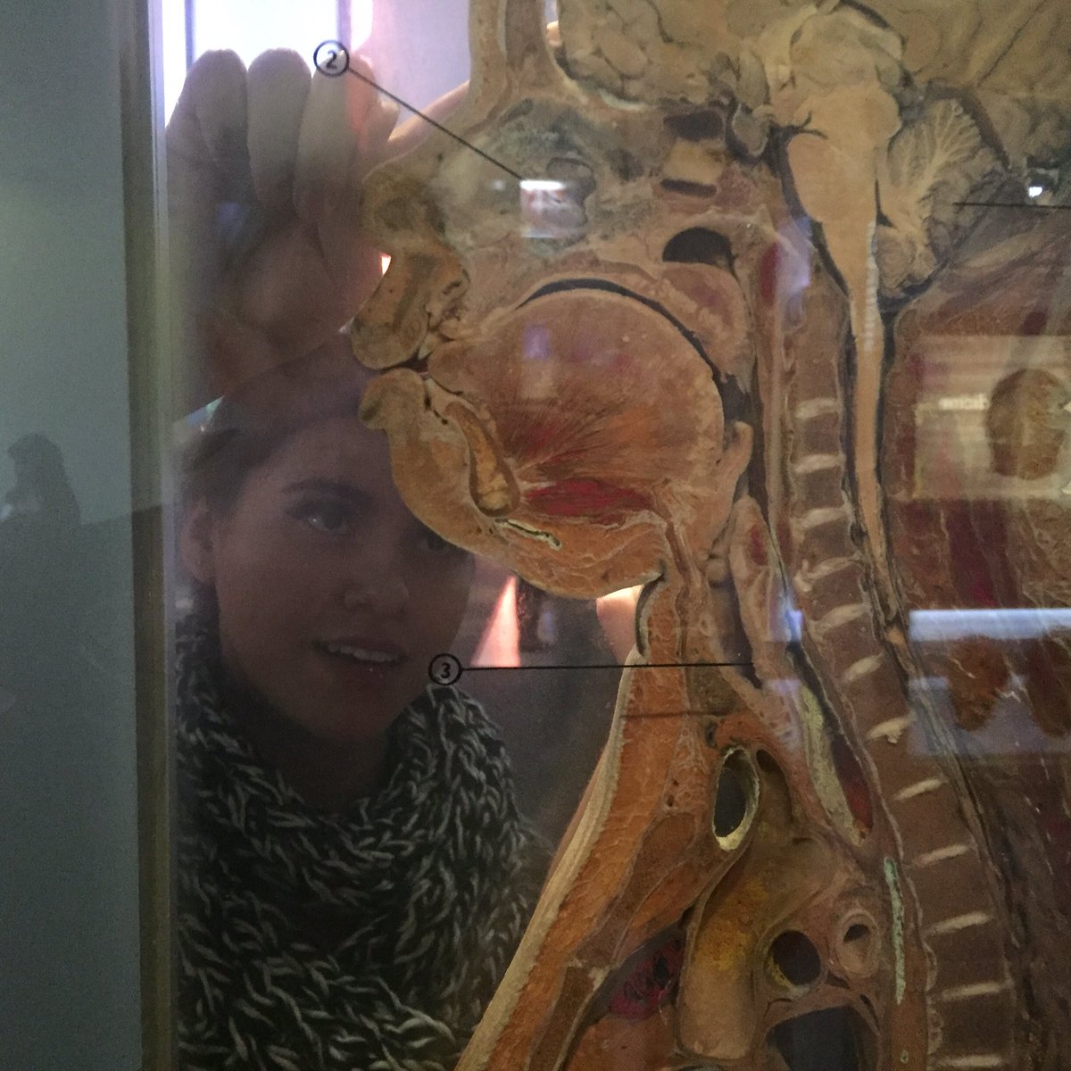 Schurz High School tweet media