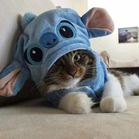 OctoberPH tweet picture