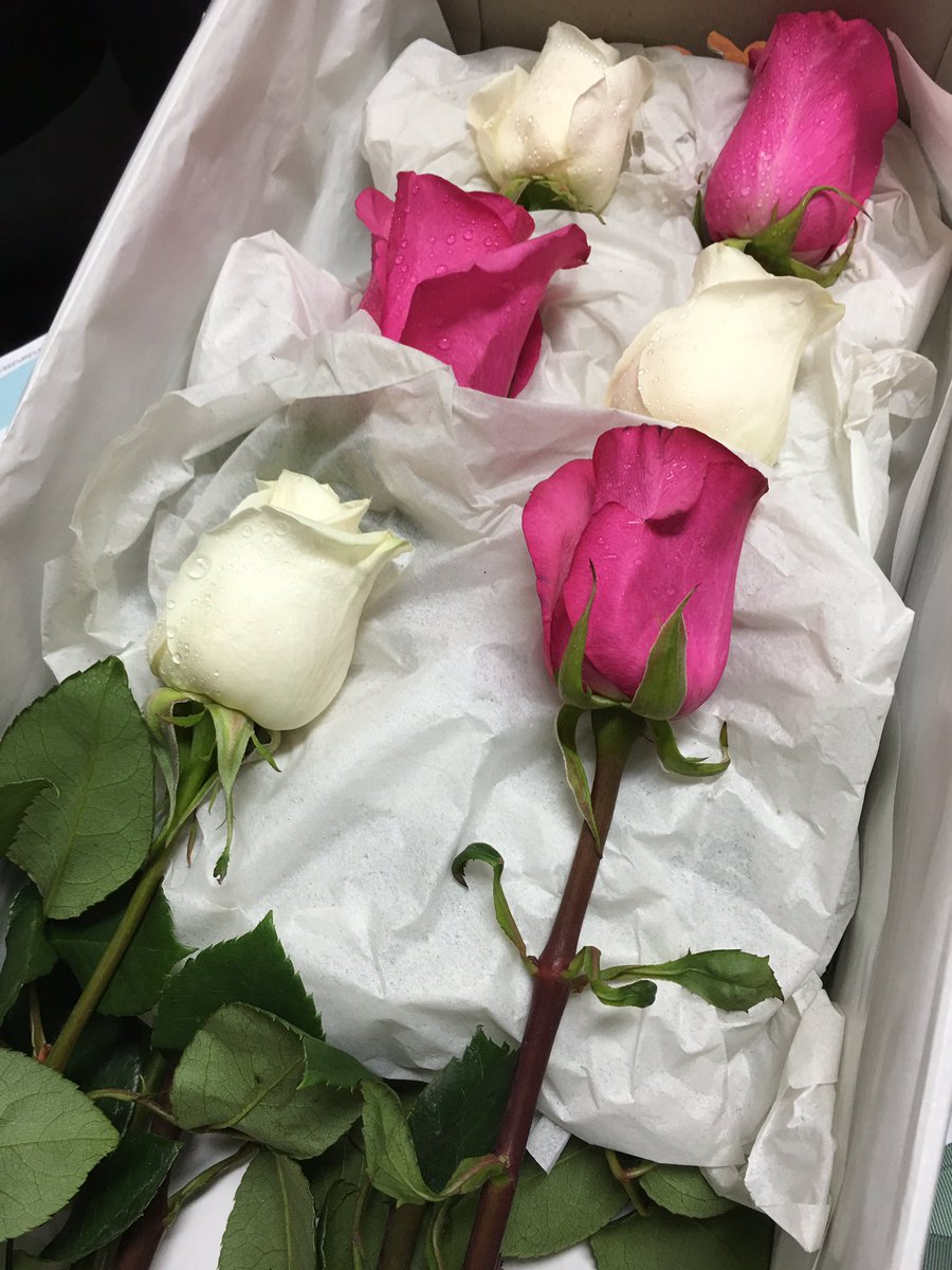 Ms_Mi5chf's tweet photo. Long stem roses delivered to my office today 🌷💖!!! So so pretty :) #rosesonly #Flowers #GoldCoast https://t.co/pXaAULgzOp