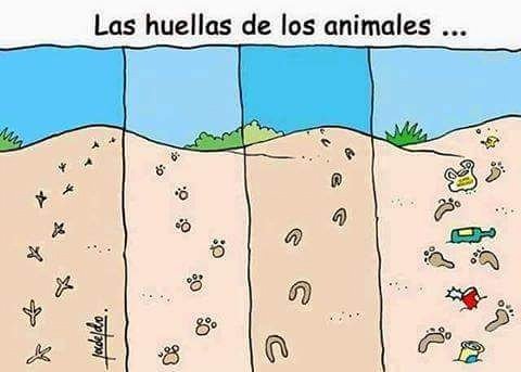 Cabronazi's tweet image. (By Virginia López)