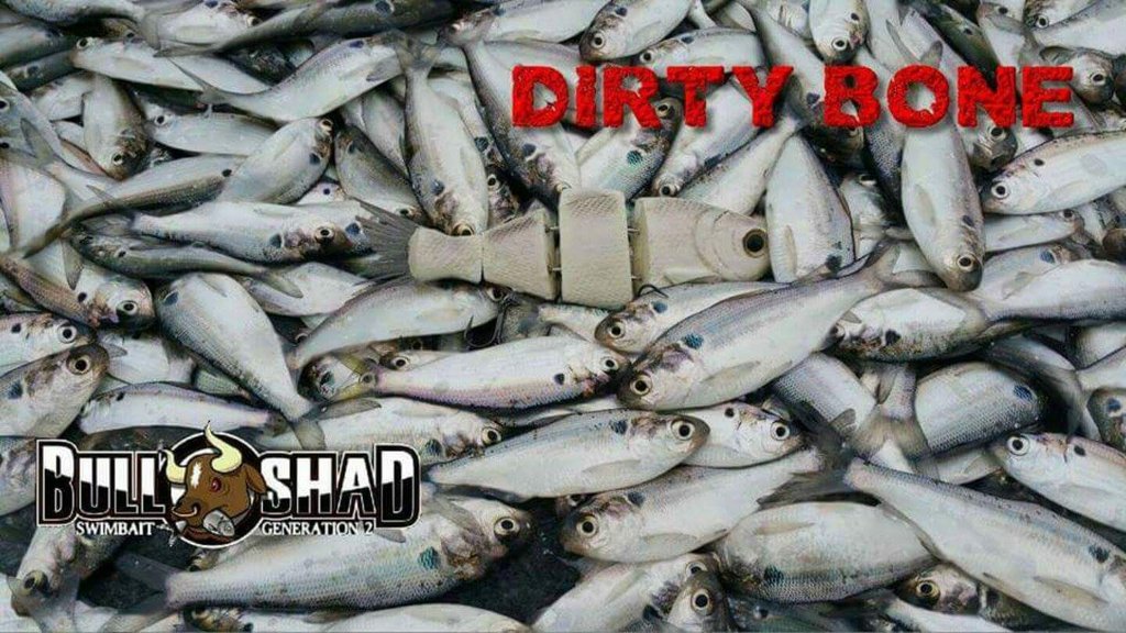BullShad's tweet photo. The source of my inspiration #bullshad https://t.co/NhOclXWvcs