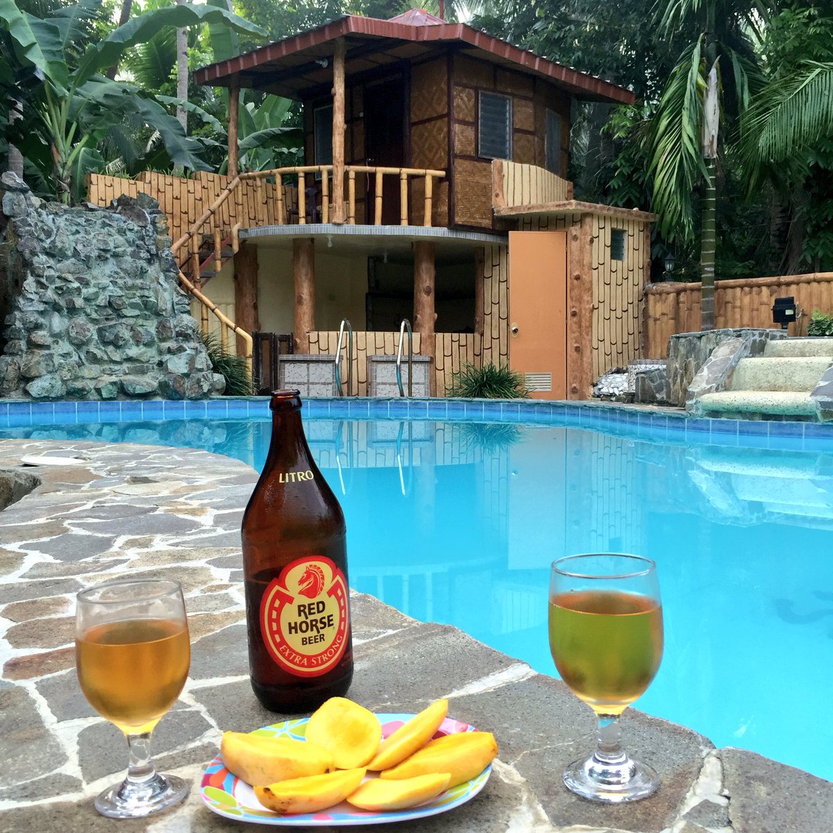 Pool, beer, mango, and sun ☀️ #wanderlust #travel #Philippines #Bohol
