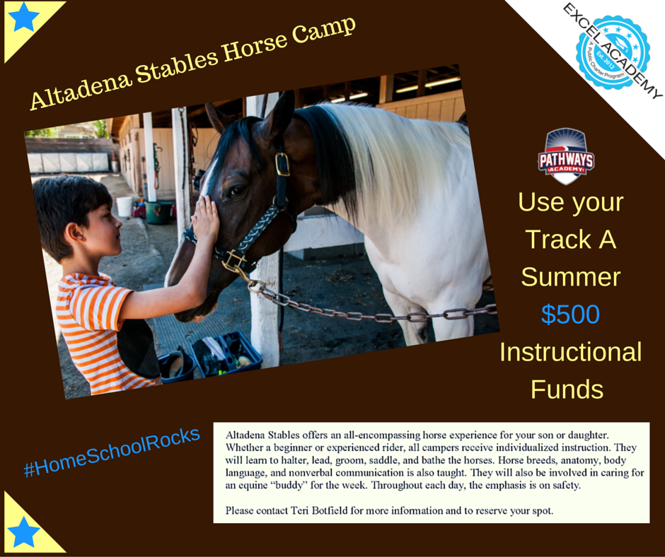 ExcelAcdmy's tweet photo. #2AMAZING @AltadenaStables #HorseCamp! No Horse Camp when I was young! Let's DO IT! #RaisingLeaders #HomeSchoolRocks https://t.co/QOYlpSS3J0