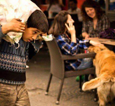 Roo7_TaBoo7's tweet photo. في زمن الفوضى وشريعة الغاب .. من أكثر مشاهد الحياة ألما أن ترى حيواناً مدللاً وإنساناً مُعذبا https://t.co/BAtY4TrNxf