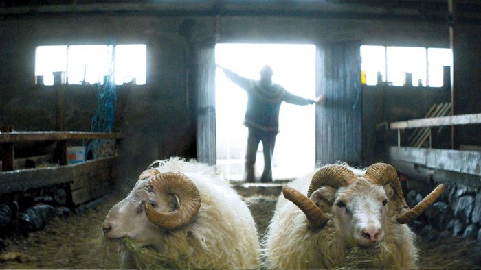 VIFFest's tweet photo. “A wonderfully wry, charmingly understated comedy." RAMS back from #VIFF2015 May 20-25: https://t.co/GMyDJO84z1 https://t.co/iV0yXiZWFn