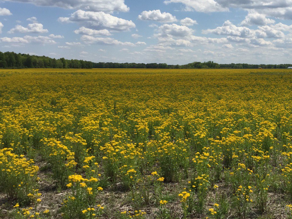 ericrednorm's tweet photo. May in Indiana @weatherchannel https://t.co/O4mOiXK6Dt