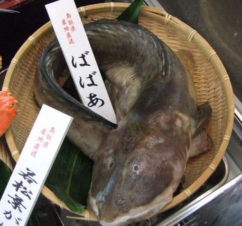 ママ 今日の晩御飯なに ババアよ わ いババア大好き あ おじさんの刺身もあるわよ Togetter