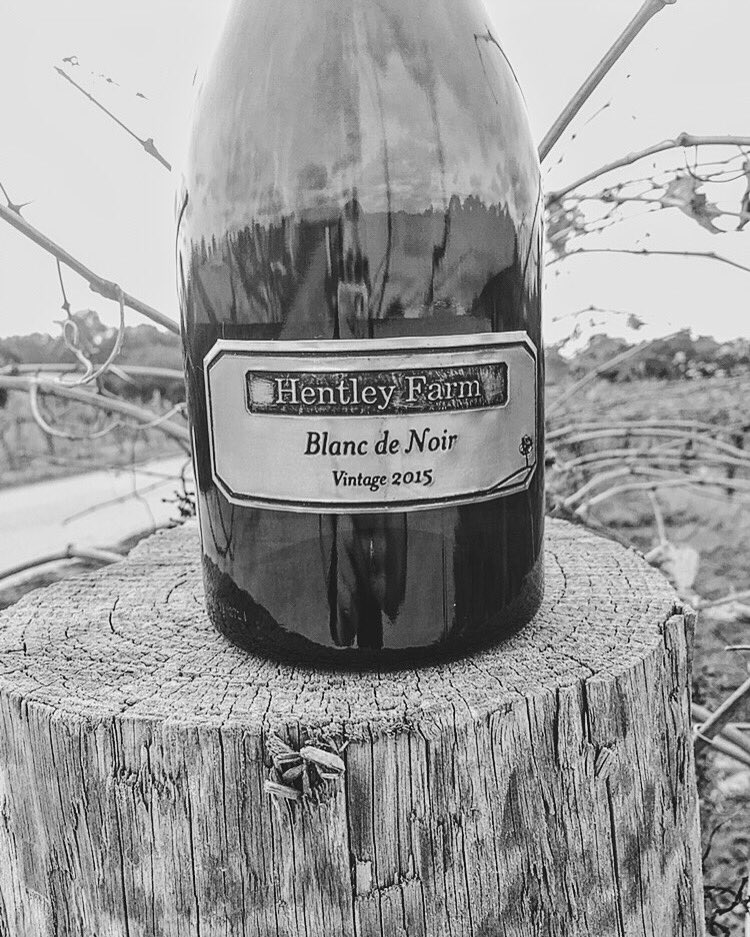 We are extremely humbled to have the 2015 Blanc de Noir included in Tyson Stelzer's 2016 Australian Sparkling Report