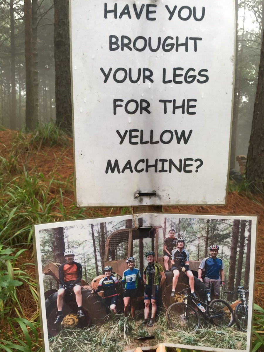 Tzaneen cycling tweet media