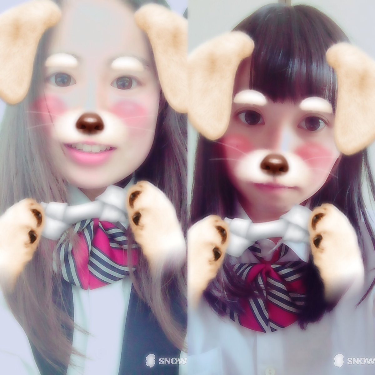 しばぱん (shibapann) Twitter しばぱん (shibapann) Twitter