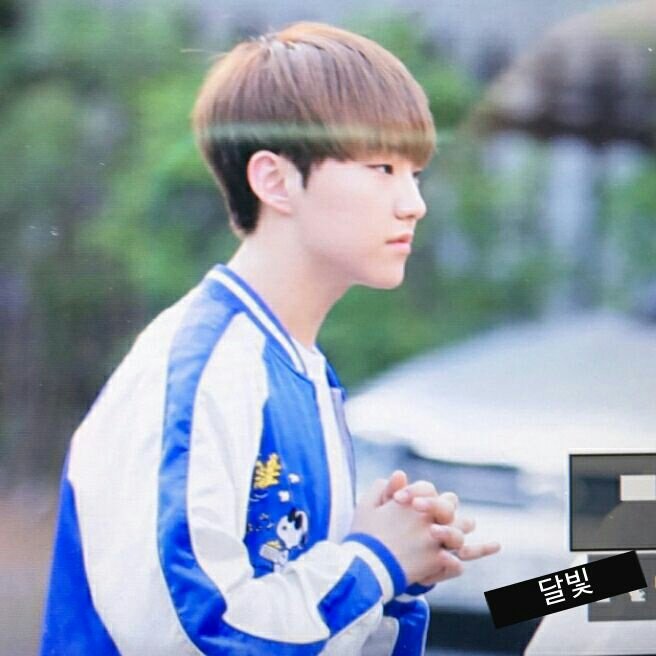moon_light_17's tweet photo. 160520 뮤뱅출근 #호시 #순영  @pledis_17 https://t.co/Ko54vwUZQ1