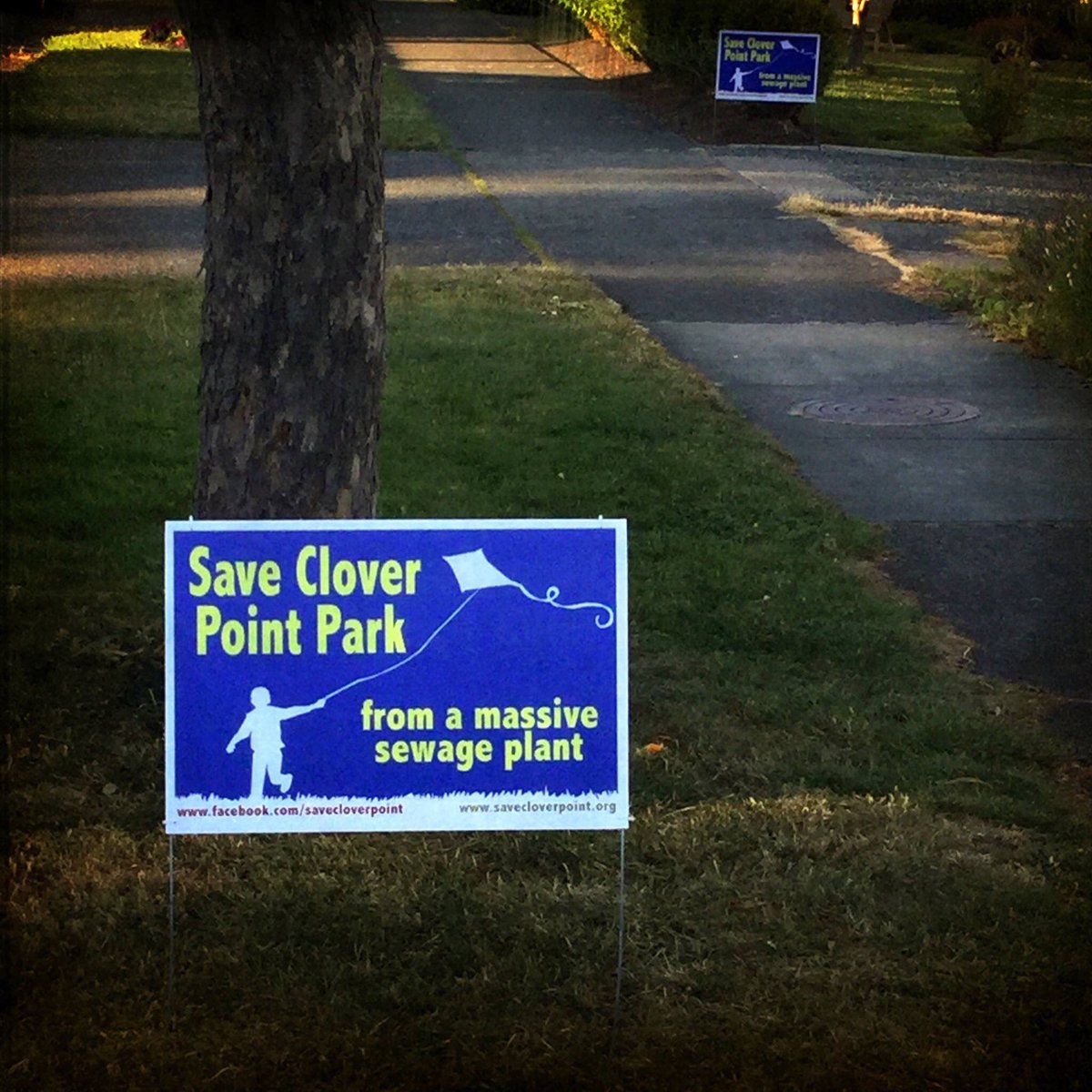 buck_mowitch's tweet photo. Somehow an underground sewage plant prevents kite flying. 😄 #sciencedeniers #savecloverpoint #NIMBY https://t.co/zf1qO8aXTg
