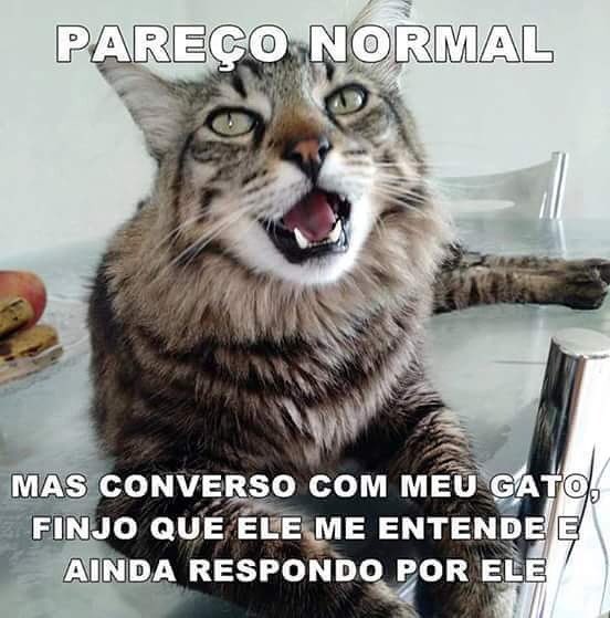 Nat 🦖💉¯\_(ツ)_/¯ tweet media