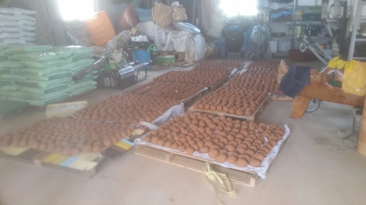 새마을운동기장군지회(회장 정태우) 에서는 2016년 5월19일(목) 오전부터 생태하천가꾸기에 쓰일 EM흙공을 2,000개를 만들어 다가오는 28일 정관읍 프리마켓에서 좌광천에 던지기를 실시할 예정이다.