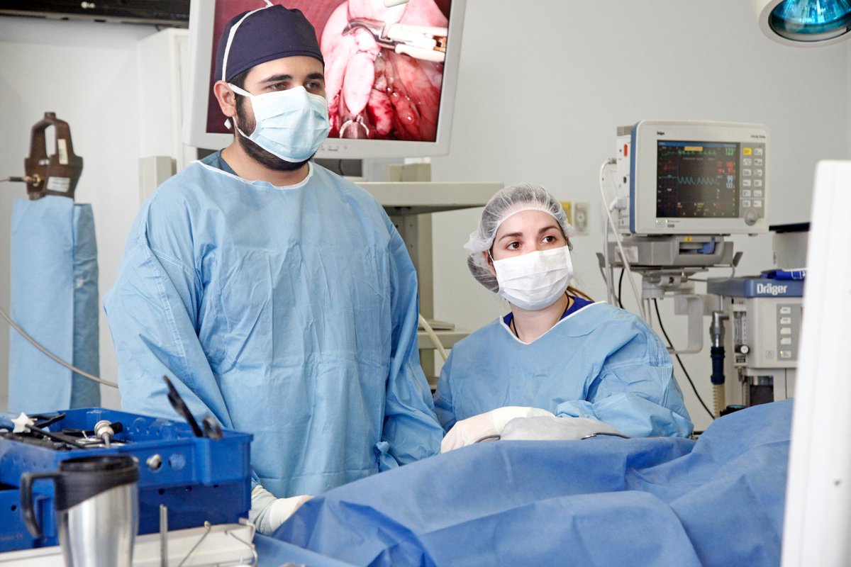 El I Congreso de CMI veterinaria en Chile! congresoslev2016.com