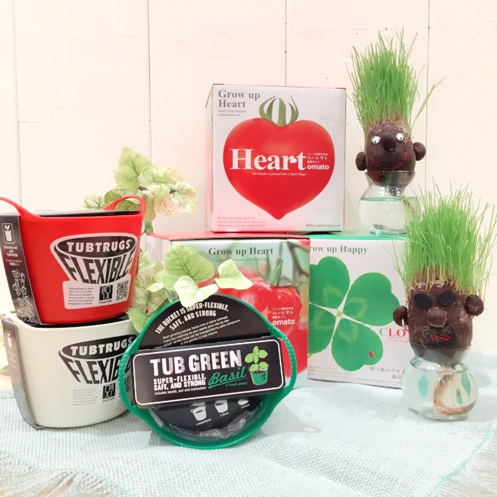 Francfranc フランフラン 公式 植物を育てるって なんだかちょっと大変そう そんな方には 楽しく簡単に育てられるアイテムを 芝が髪の毛のように生えてくる栽培セットは ユーモラスな姿に思わず笑ってしまいそう ぜひお店でチェックして