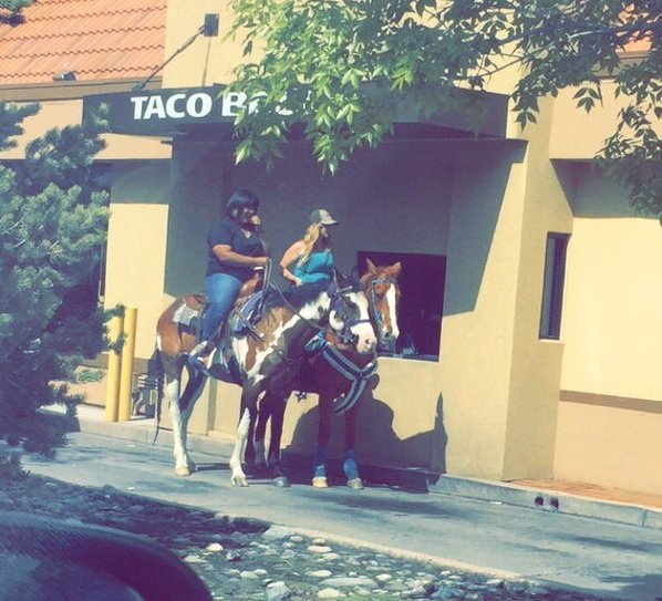 KyleClark's tweet photo. THIS IS COLORADO. (Seen at a Taco Bell in Arvada today) #9NEWS https://t.co/SkF536W0Fv
