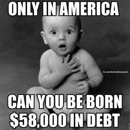 Auditfed's tweet image. 