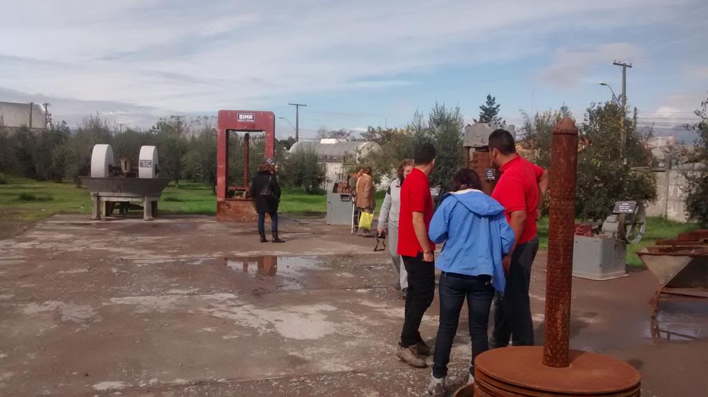 Estamos en <a href="/TerramaterWines/">TerraMater</a> conociendo Museo al aire libre máquinas aceite de oliva recorriendo viñedos #IsladeMaipo