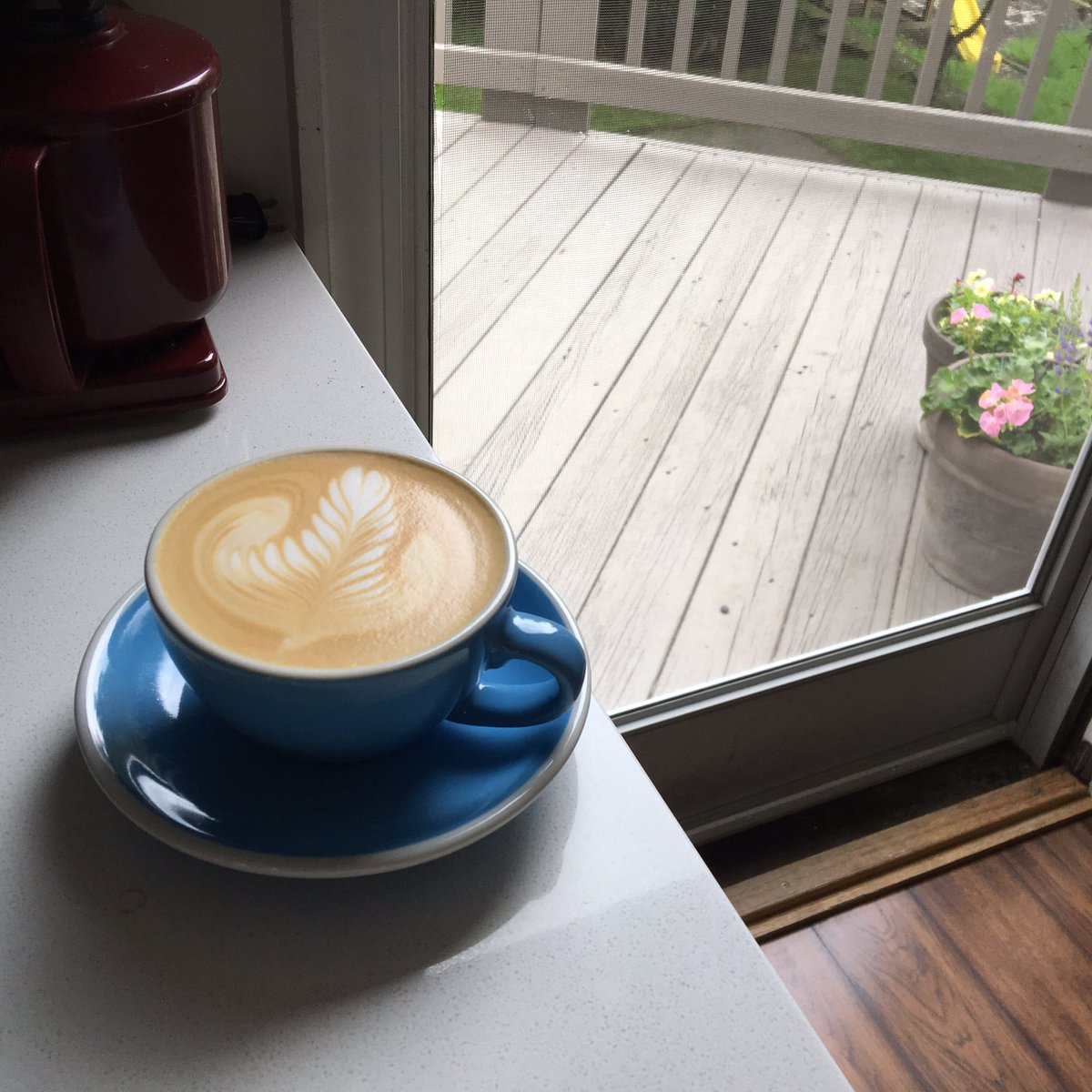 anitam_852's tweet photo. A cup of #tranquity . Beans roasted by #greenwaycoffee . Bringing a piece of #Houston with me. https://t.co/rAuXgPDD1A