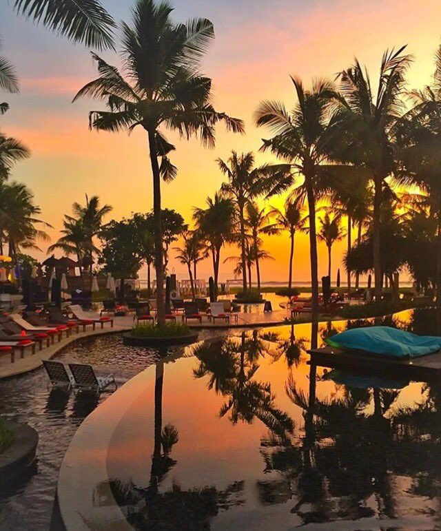 _skyvibes's tweet image. Paradise and palm trees