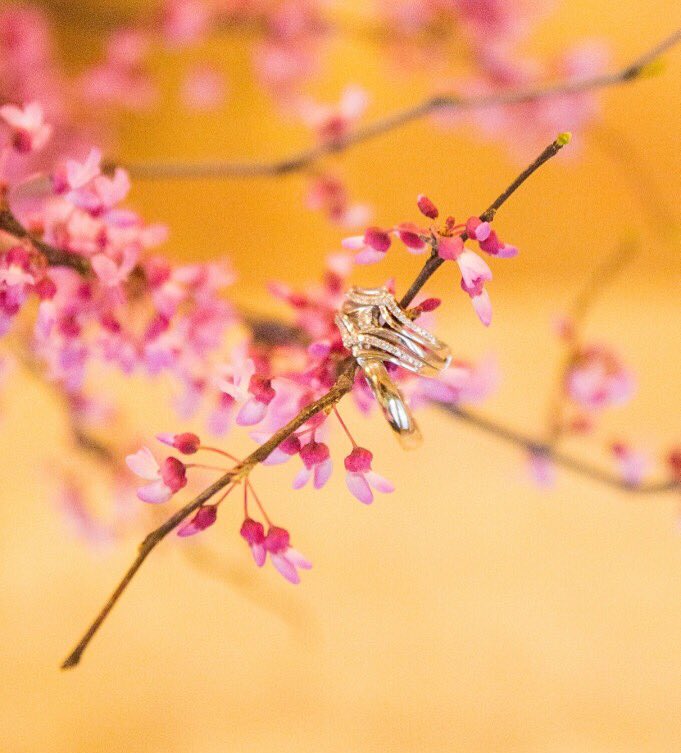 AllHeart Photography tweet media