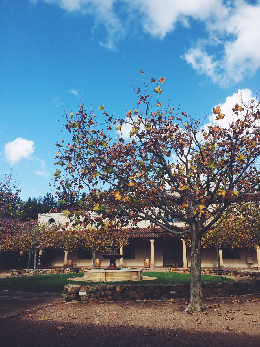 Basque Imagery tweet media