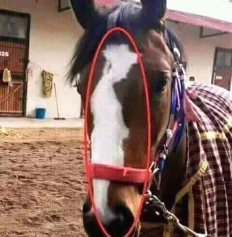 34d9eb18f1b74df's tweet image. 